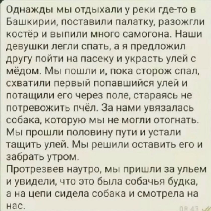 Однажды мы отдыхали у реки где-то в Башкирии, поставили палатку, разожгли костёр и выпили много самогона. Наши девушки легли спать, а я предложил другу пойти на пасеку и украсть улей с мёдом. Мы пошли и, пока сторож спал, схватили первый попавшийся улей и потащили его через поле, стараясь не потревожить пчёл. За нами увязалась собака, которую мы не