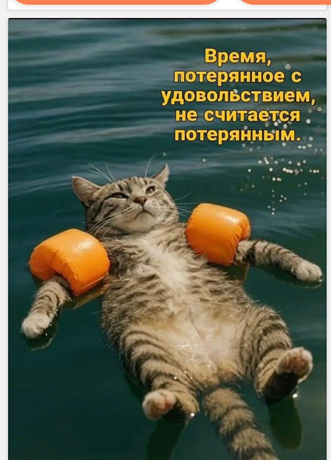 Время, потерянное с удовольствием, не считается потерянным.