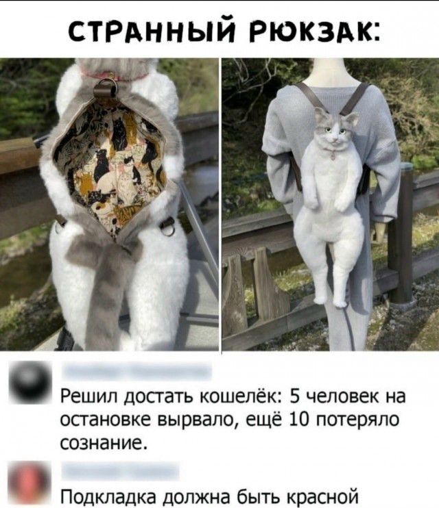 СТРАННЫЙ РЮКЗАК: Решил достать кошелёк: 5 человек на остановке вырвало, ещё 10 потеряло сознание. Подкладка должна быть красной