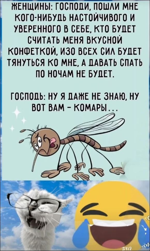 ЖЕНЩИНЫ: ГОСПОДИ, ПОШЛИ МНЕ КОГО-НИБУДЬ НАСТОЙЧИВОГО И УВЕРЕННОГО В СЕБЕ, КТО БУДЕТ СЧИТАТЬ МЕНЯ ВКУСНОЙ КОНФЕТКОЙ, ИЗО ВСЕХ СИЛ БУДЕТ ТЯНУТЬСЯ КО МНЕ, А ДАВАТЬ СПАТЬ ПО НОЧАМ НЕ БУДЕТ. ГОСПОДЬ: НУ Я ДАЖЕ НЕ ЗНАЮ, НУ ВОТ ВАМ - КОМАРЫ...