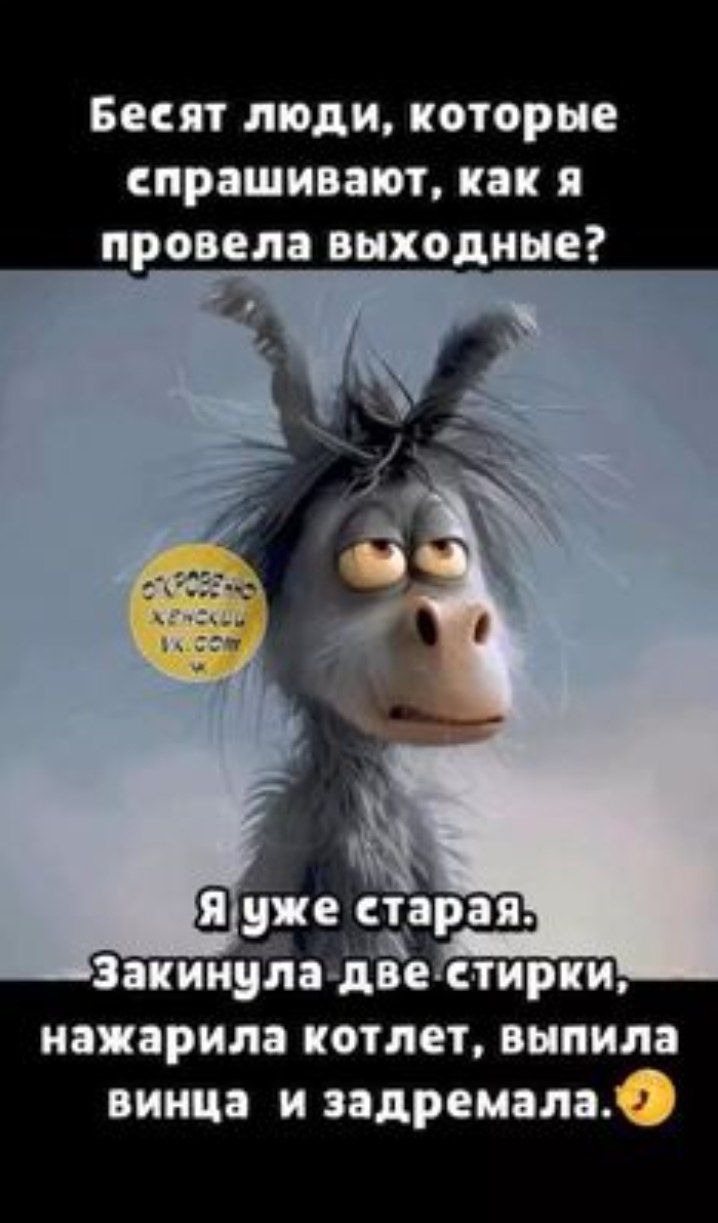 Бесят люди, которые спрашивают, как я провела выходные? Я уже старая. Закинула две стирки, нажарила котлет, выпила винца и задремала.