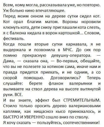 Всем, кому могла, рассказывала уже, но повторю. Уж больно кино впечатляющее. Перед моим окном на дереве сутки сидел кот. Кот орал благим матом. Вороны норовили клюнуть кота, дети снизу приглашали кота слезть, я с балкона кидала в ворон картошкой... Словом, фестиваль. Когда пошли вторые сутки карнавала, я не выдержала и позвонила в МЧС. До сих пор п