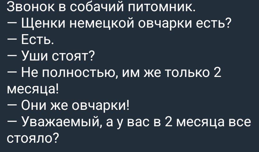 Звонок в собачий питомник.
— Щенки немецкой овчарки есть?
— Есть.
— Уши стоят?
— Не полностью, им же только 2 месяца!
— Они же овчарки!
— Уважаемый, а у вас в 2 месяца все стояло?