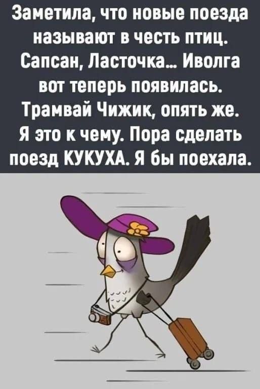 Заметила, что новые поезда называют в честь птиц. Сапсан, Ласточка... Иволга вот теперь появилась. Трамвай Чижик, опять же. Я это к чему. Пора сделать поезд КУКУХА. Я бы поехала.