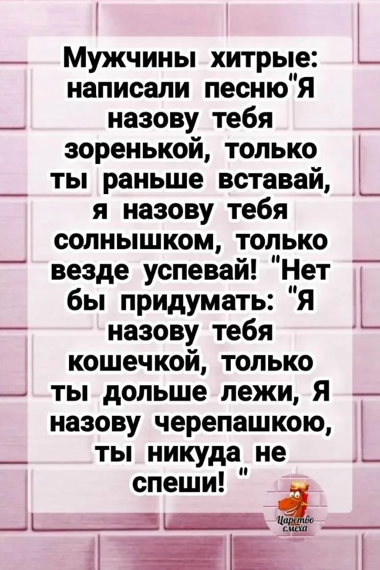 Мужчины хитрые: написали песню 