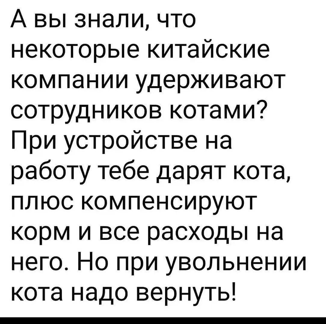А вы знали, что некоторые китайские компании удерживают сотрудников котами? При устройстве на работу тебе дарят кота, плюс компенсируют корм и все расходы на него. Но при увольнении кота надо вернуть!