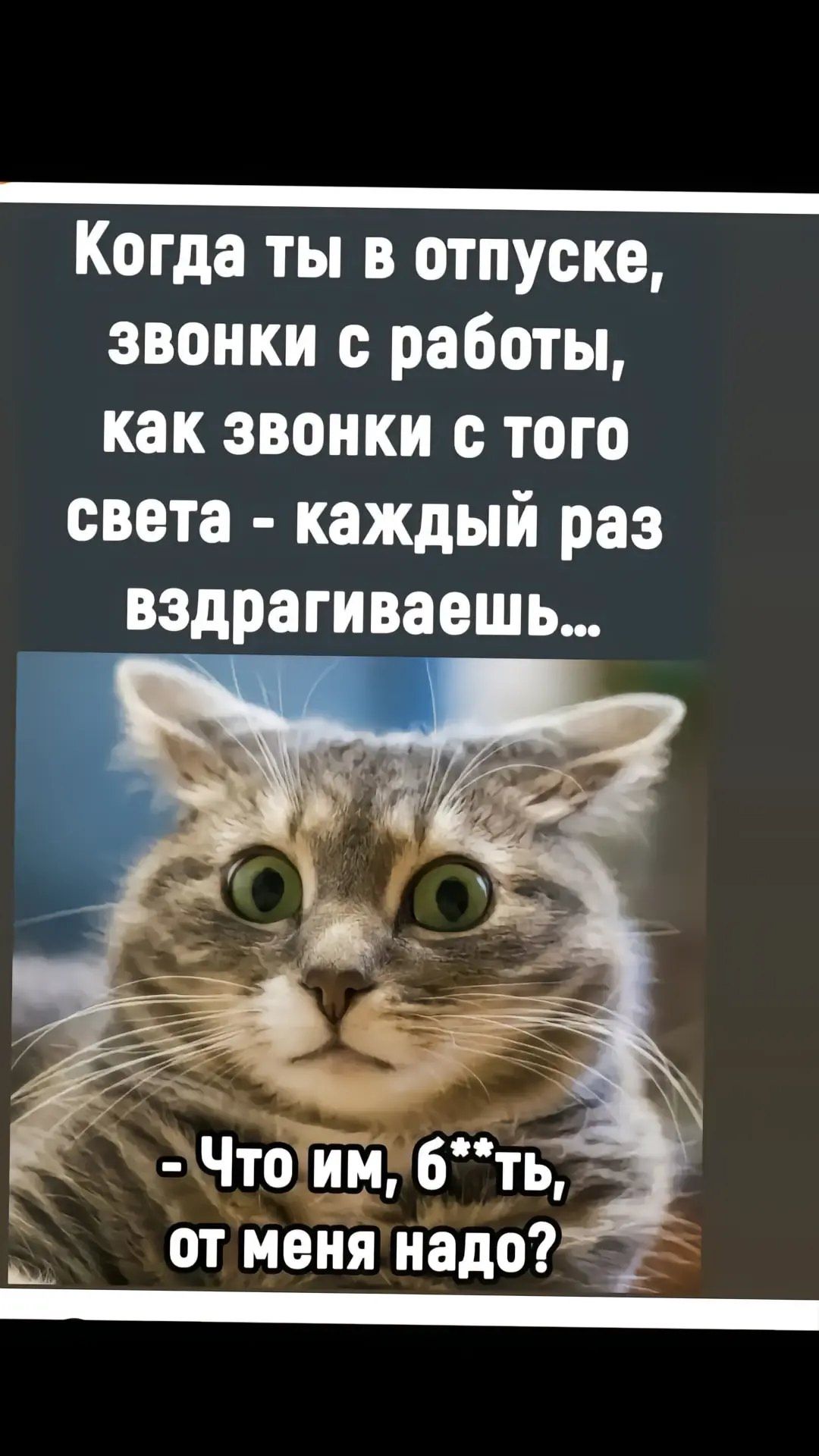 Когда ты в отпуске, звонки с работы, как звонки с того света - каждый раз вздрагиваешь... - Что им, б**ть, от меня надо?