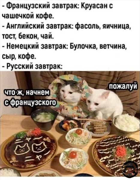 Французский завтрак: Круасан с чашечкой кофе. Английский завтрак: фасоль, яичница, тост, бекон, чай. Немецкий завтрак: Булочка, ветчина, сыр, кофе. Русский завтрак: что ж, начнем с французского пожалуй