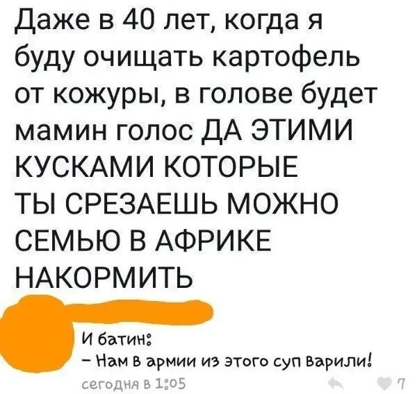Даже в 40 лет, когда я буду очищать картофель от кожуры, в голове будет мамин голос ДА ЭТИМИ КУСКАМИ КОТОРЫЕ ТЫ СРЕЗАЕШЬ МОЖНО СЕМЬЮ В АФРИКЕ НАКОРМИТЬ И батин: – Нам в армии из этого суп варили!