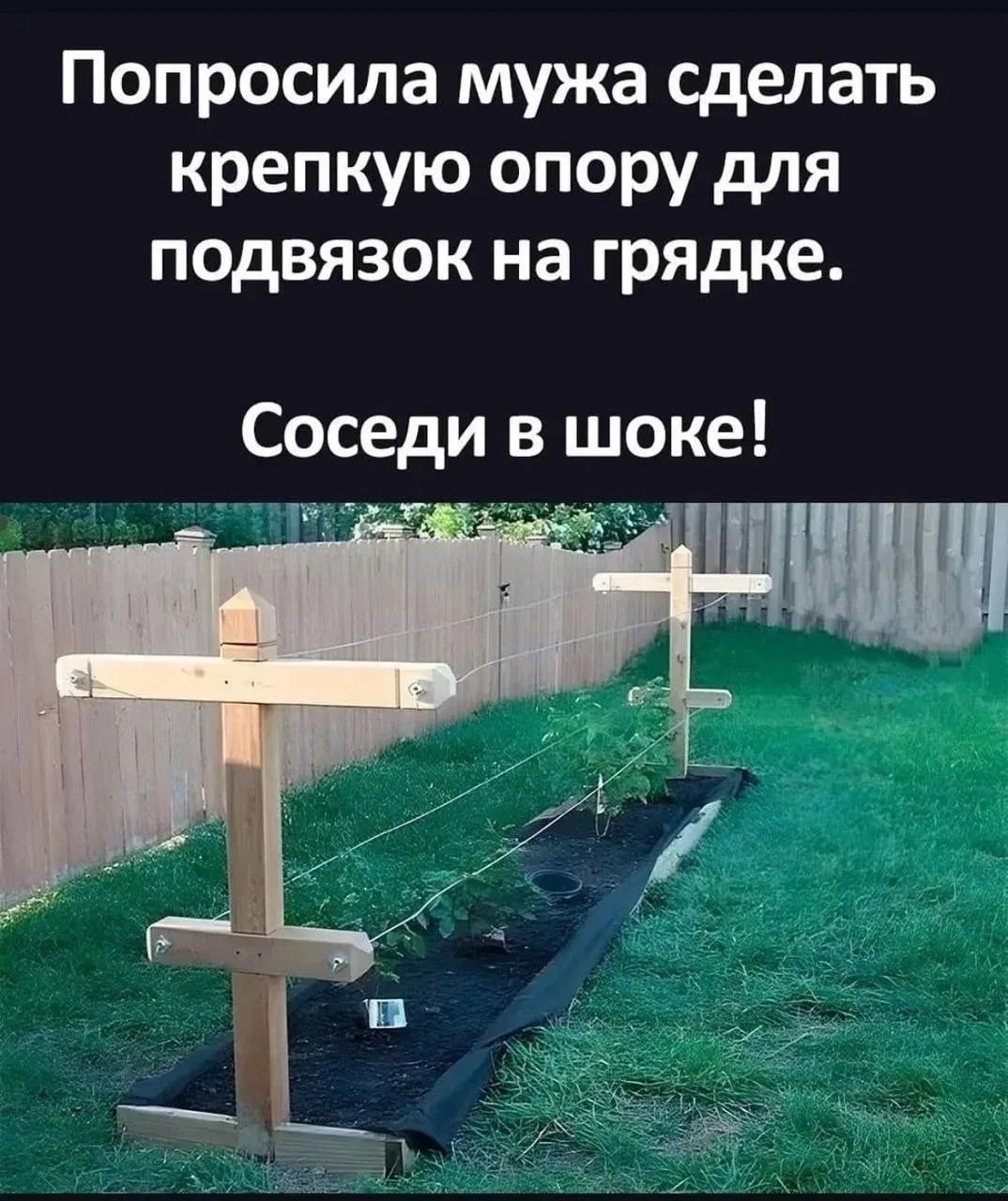 Попросила мужа сделать крепкую опору для подвязок на грядке. Соседи в шоке!
