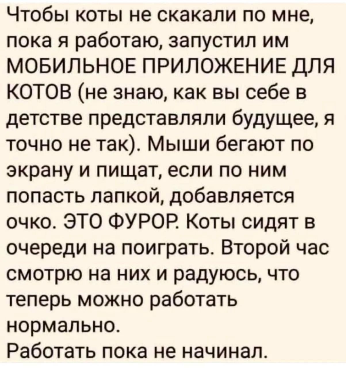 Чтобы коты не скакали по мне, пока я работаю, запустил им МОБИЛЬНОЕ ПРИЛОЖЕНИЕ ДЛЯ КОТОВ (не знаю, как вы себе в детстве представляли будущее, я точно не так). Мыши бегают по экрану и пищат, если по ним попасть лапкой, добавляется очко. ЭТО ФУРОР. Коты сидят в очереди на поиграть. Второй час смотрю на них и радуюсь, что теперь можно работать нормал
