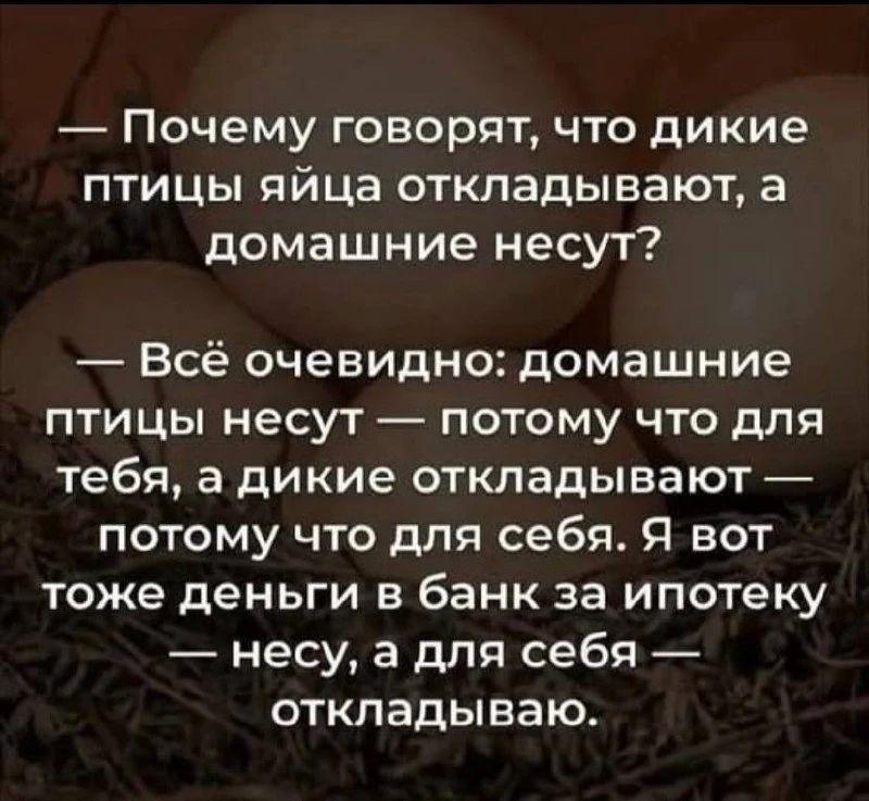 — Почему говорят, что дикие птицы яйца откладывают, а домашние несут?
— Всё очевидно: домашние птицы несут — потому что для тебя, а дикие откладывают — потому что для себя. Я вот тоже деньги в банк за ипотеку — несу, а для себя — откладываю.