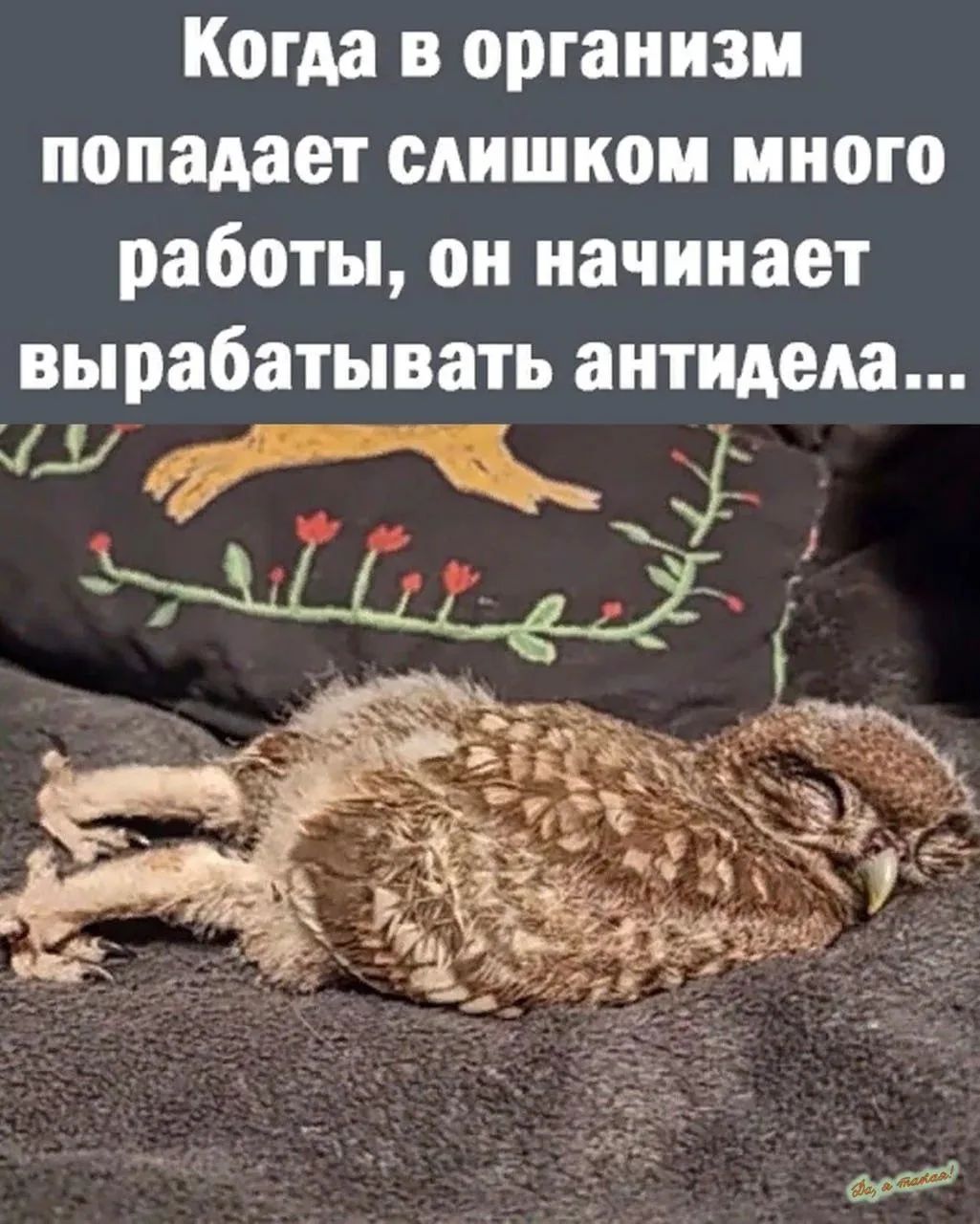 Когда в организм попадает слишком много работы, он начинает вырабатывать антидела...