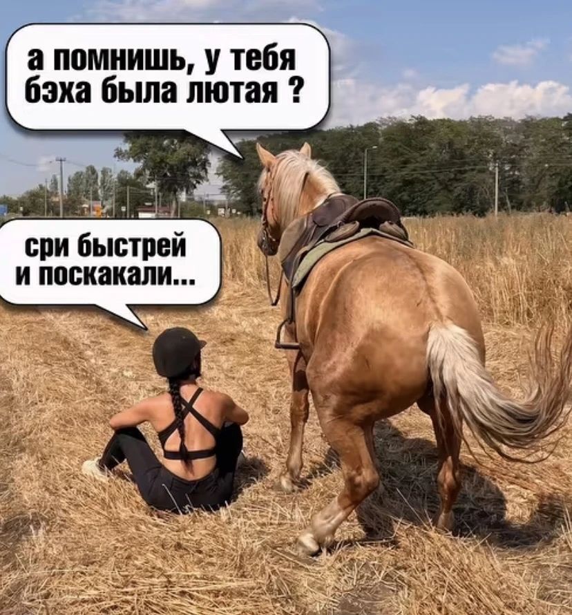 а помнишь, у тебя бэха была лютая ? сри быстрей и поскакали...
