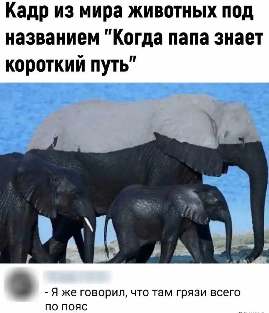 Кадр из мира животных под названием 