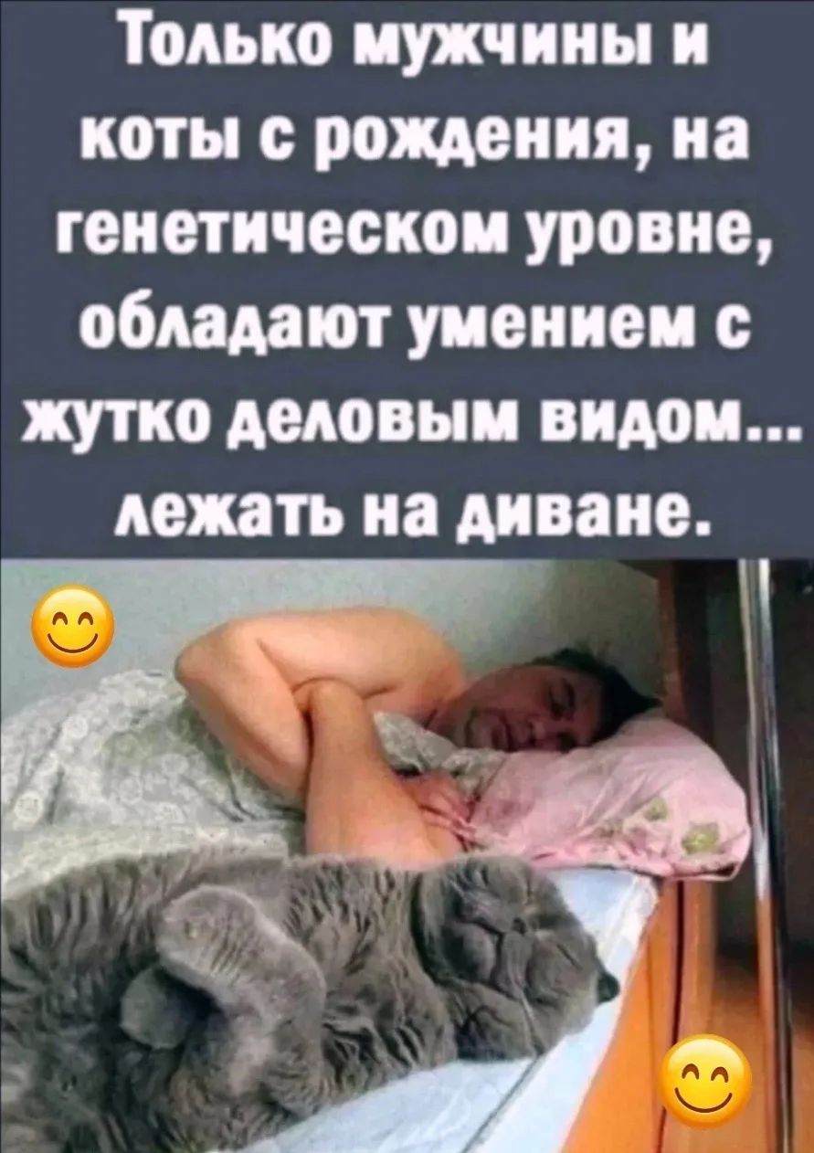 Только мужчины и коты с рождения, на генетическом уровне, обладают умением с жутко деловым видом... лежать на диване.
