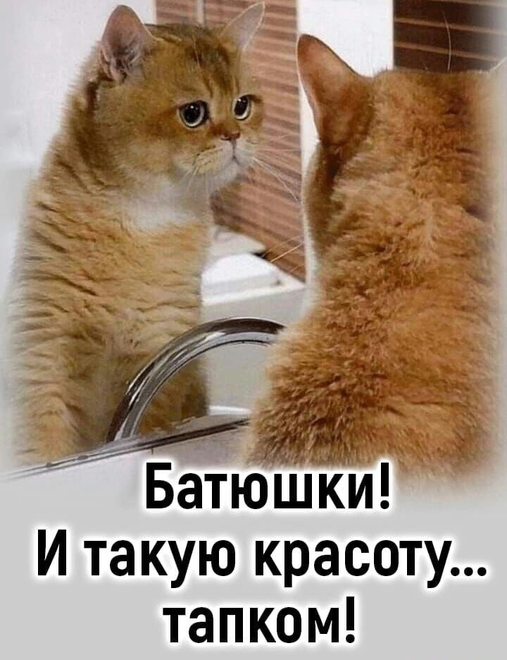 Батюшки! И такую красоту... тапком!