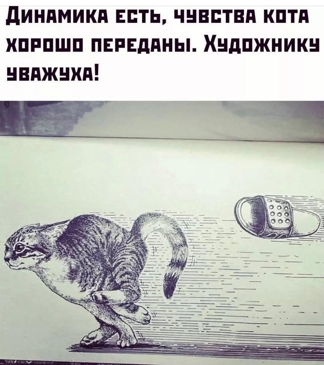 ДИНАМИКА ЕСТЬ, ЧУВСТВА КОТА ХОРОШО ПЕРЕДАНЫ. ХУДОЖНИКУ УВАЖУХА!