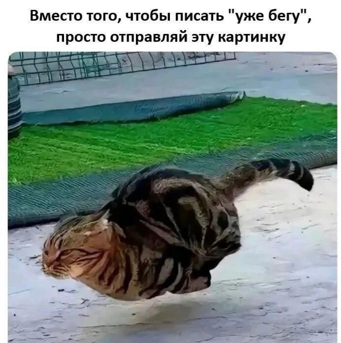 Вместо того, чтобы писать 