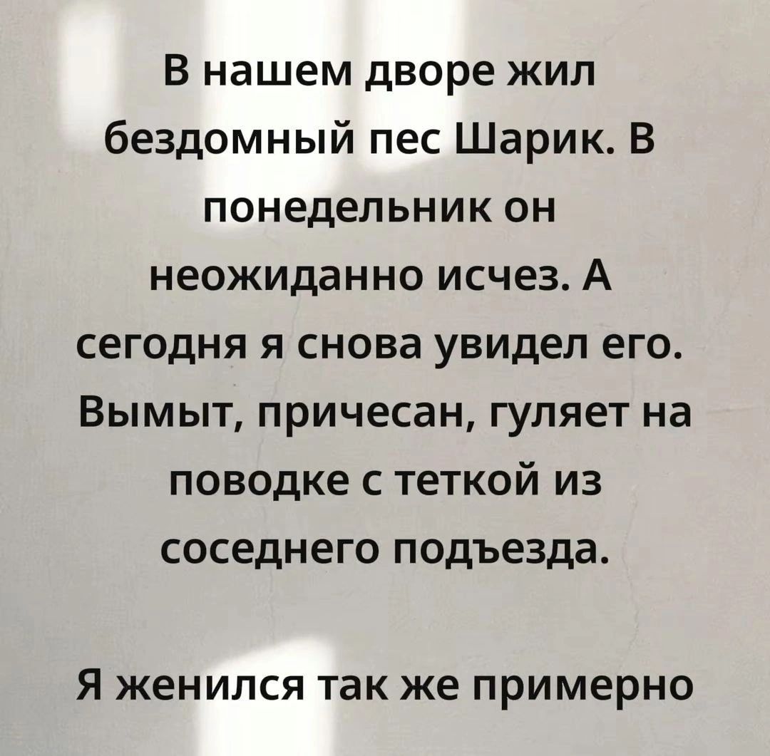 В нашем дворе жил бездомный пес Шарик. В понедельник он неожиданно исчез. А сегодня я снова увидел его. Вымыт, причесан, гуляет на поводке с теткой из соседнего подъезда. Я женился так же примерно