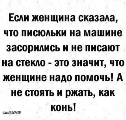 Если женщина сказала, что писюльки на машине засорились и не писают на стекло - это значит, что женщине надо помочь! А не стоять и ржать, как конь! t.me/DROVOF