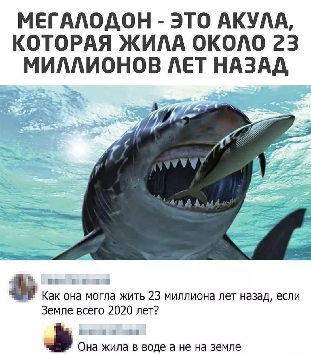 МЕГАЛОДОН - ЭТО АКУЛА, КОТОРАЯ ЖИЛА ОКОЛО 23 МИЛЛИОНОВ ЛЕТ НАЗАД Как она могла жить 23 миллиона лет назад, если Земле всего 2020 лет? Она жила в воде а не на земле