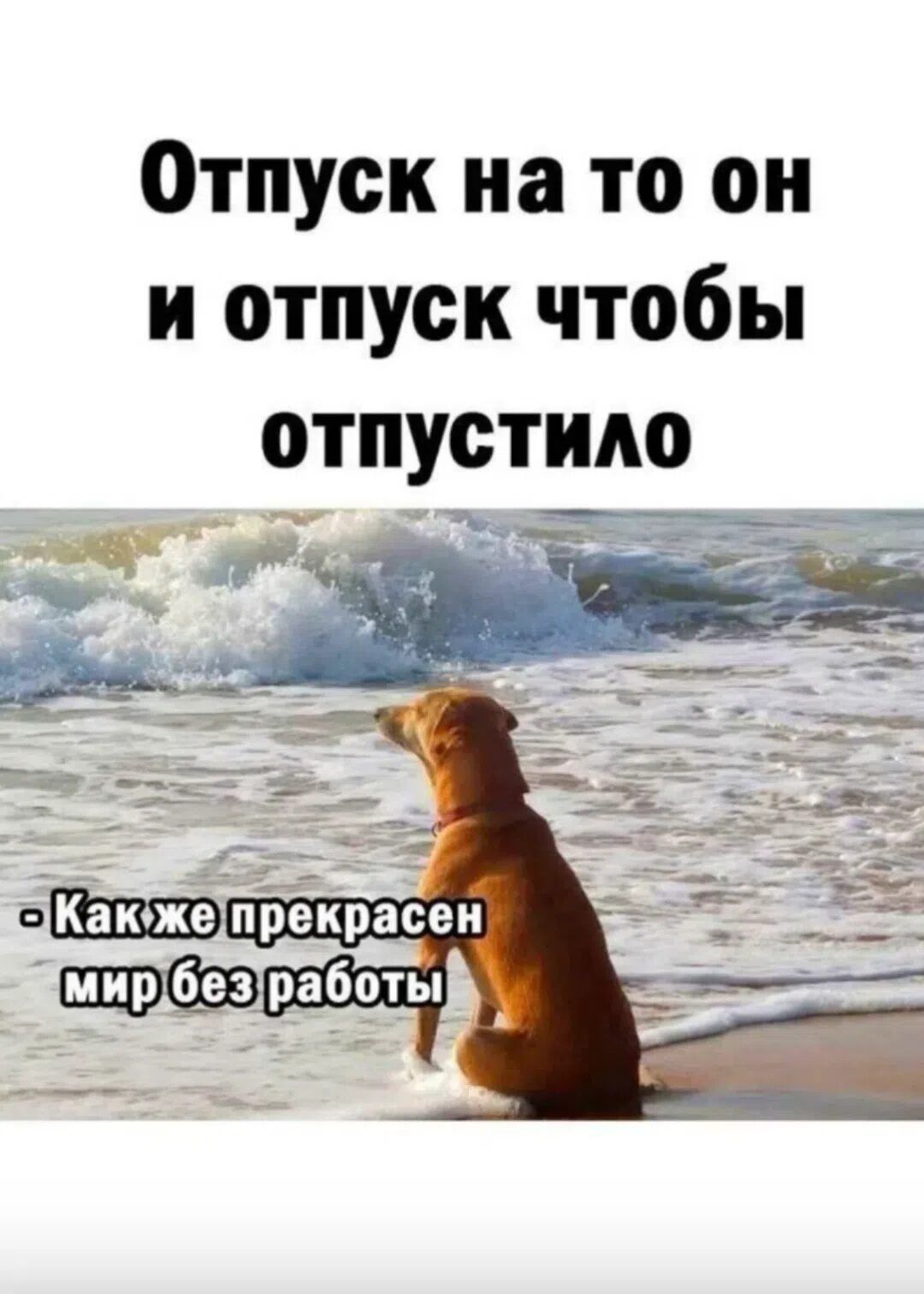 Отпуск на то он и отпуск чтобы отпустило. Как же прекрасен мир без работы.