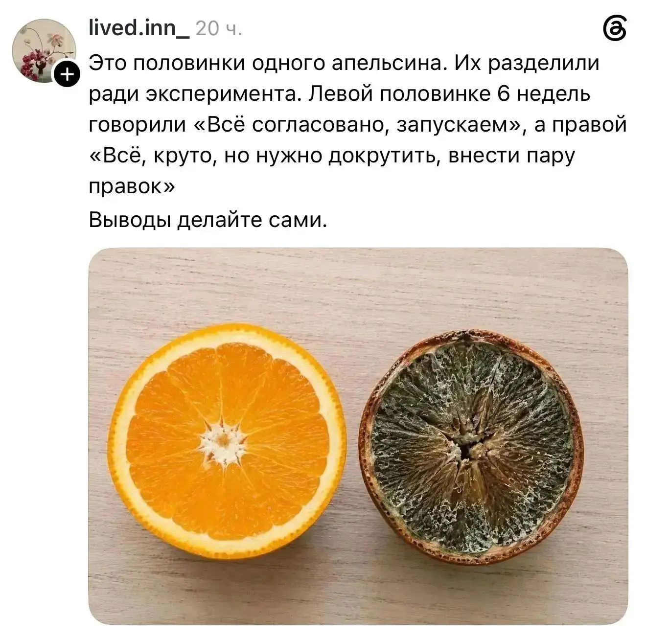 Это половинки одного апельсина. Их разделили ради эксперимента. Левой половинке 6 недель говорили «Всё согласовано, запускаем», а правой «Всё, круто, но нужно докрутить, внести пару правок» Выводы делайте сами.