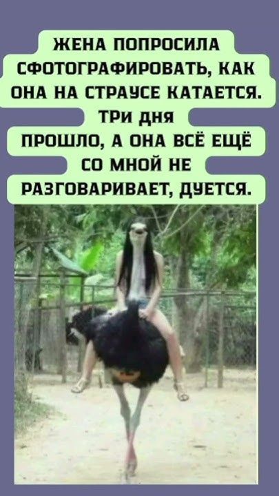 ЖЕНА ПОПРОСИЛА СФОТОГРАФИРОВАТЬ, КАК ОНА НА СТРАУСЕ КАТАЕТСЯ. ТРИ ДНЯ ПРОШЛО, А ОНА ВСЁ ЕЩЁ СО МНОЙ НЕ РАЗГОВАРИВАЕТ, ДУЕТСЯ.