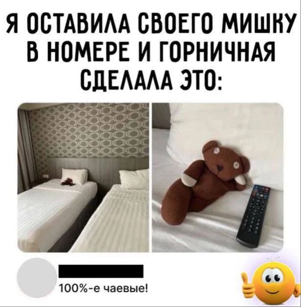 Я ОСТАВИЛА СВОЕГО МИШКУ В НОМЕРЕ И ГОРНИЧНАЯ СДЕЛАЛА ЭТО: 100%-е чаевые!