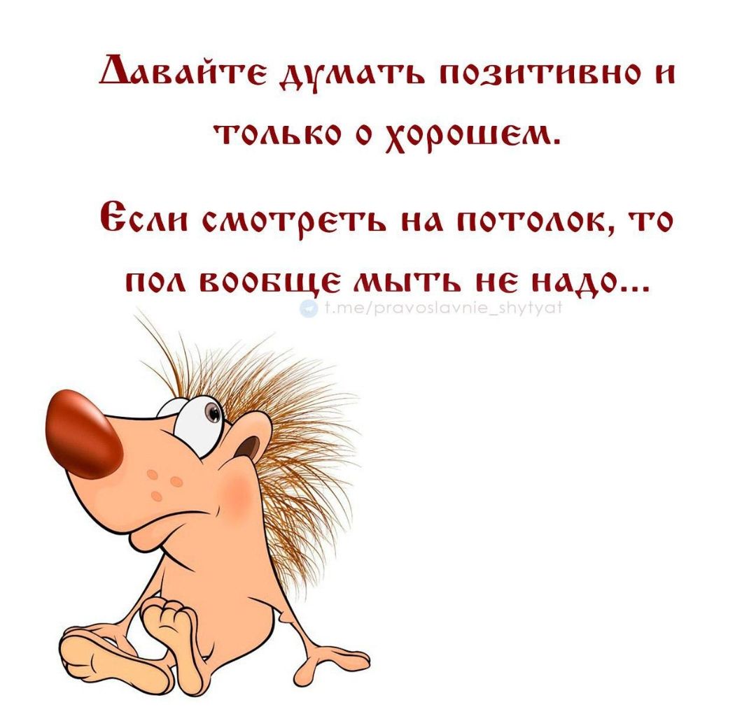 Давайте думать позитивно и только о хорошем. Если смотреть на потолок, то пол вообще мыть не надо... t.me/pravoslavnie_shytyat