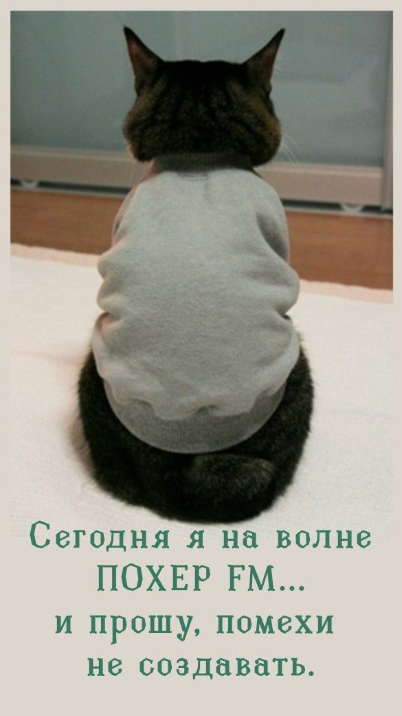 Сегодня я на волне ПОХЕР FM... и прошу, помехи не создавать.