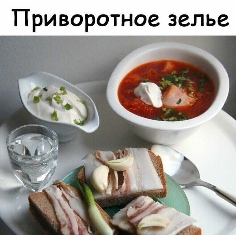 Приворотное зелье. На изображении традиционный обед: тарелка борща со сметаной, рюмка водки, бутерброды с салом, чесноком и зеленым луком, а также соусник со сметаной и зеленью.