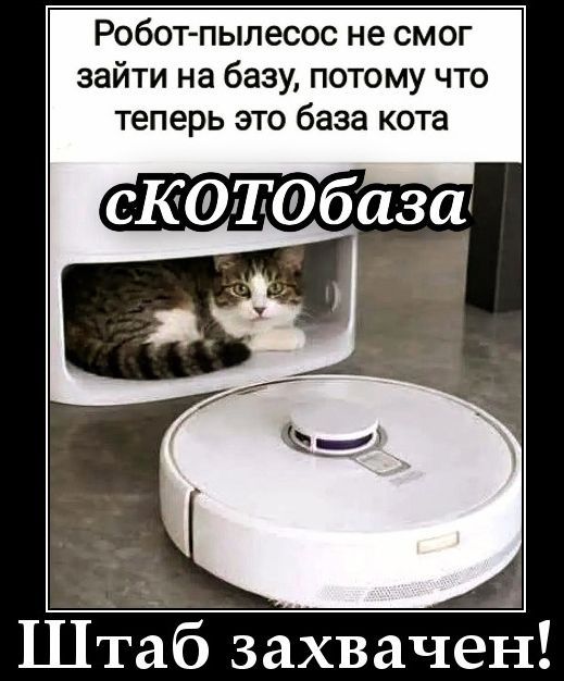 Робот-пылесос не смог зайти на базу, потому что теперь это база кота. СКОТОбаза. Штаб захвачен!