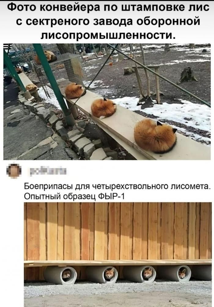 Фото конвейера по штамповке лис с секретного завода оборонной лисопромышленности. Боеприпасы для четырехствольного лисомета. Опытный образец ФЫР-1