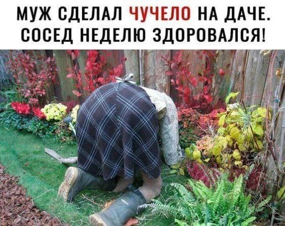 МУЖ СДЕЛАЛ ЧУЧЕЛО НА ДАЧЕ. СОСЕД НЕДЕЛЮ ЗДОРОВАЛСЯ!