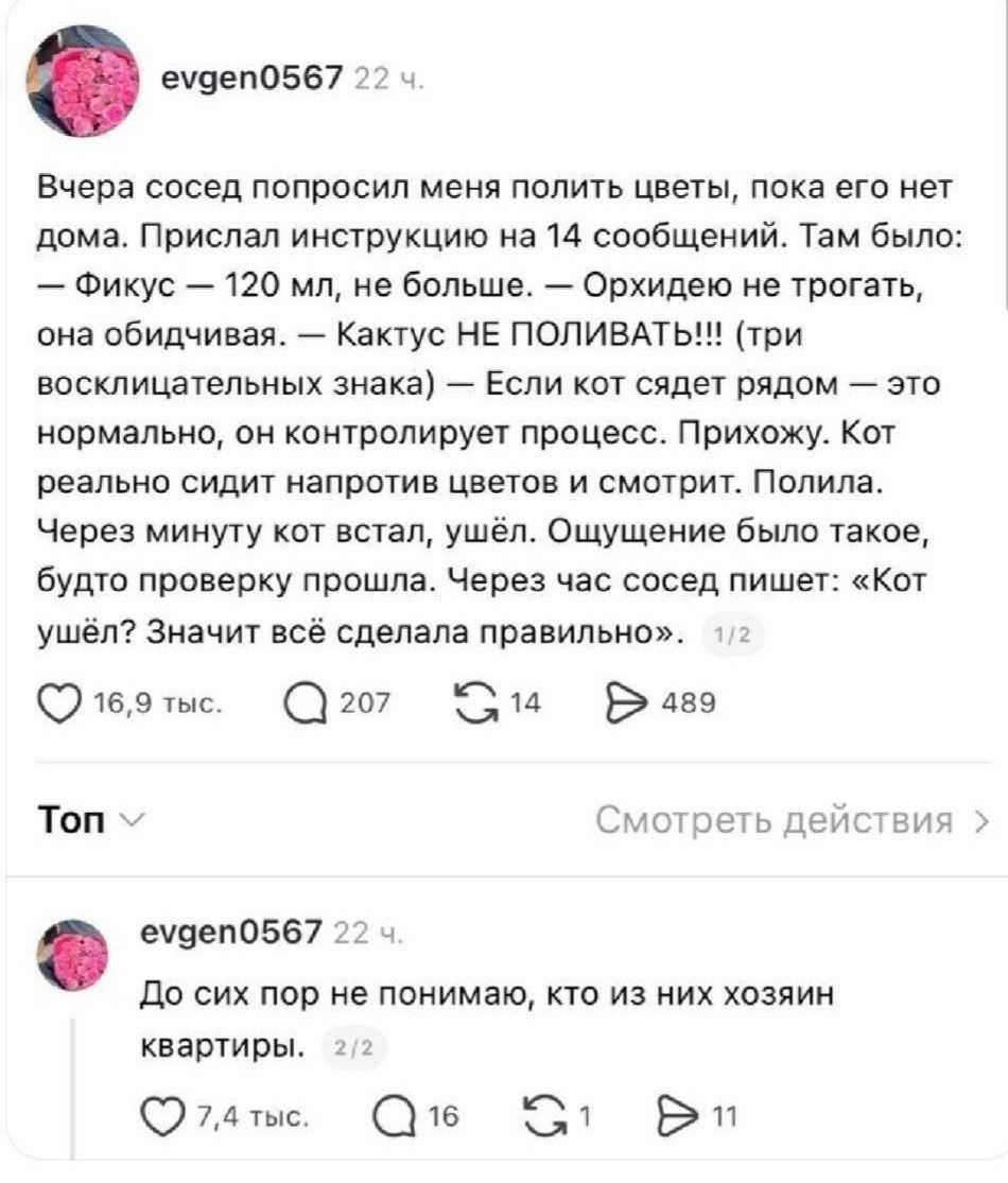 Вчера сосед попросил меня полить цветы, пока его нет дома. Прислал инструкцию на 14 сообщений. Там было: — Фикус — 120 мл, не больше. — Орхидею не трогать, она обидчивая. — Кактус НЕ ПОЛИВАТЬ!!! (три восклицательных знака) — Если кот сядет рядом — это нормально, он контролирует процесс. Прихожу. Кот реально сидит напротив цветов и смотрит. Полили. 