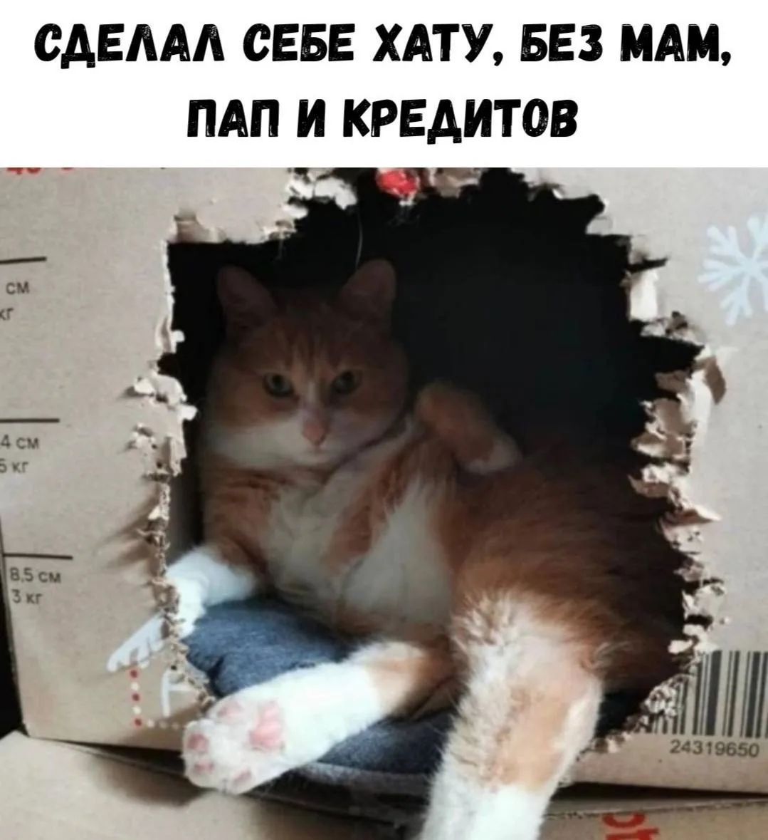СДЕЛАЛ СЕБЕ ХАТУ, БЕЗ МАМ, ПАП И КРЕДИТОВ