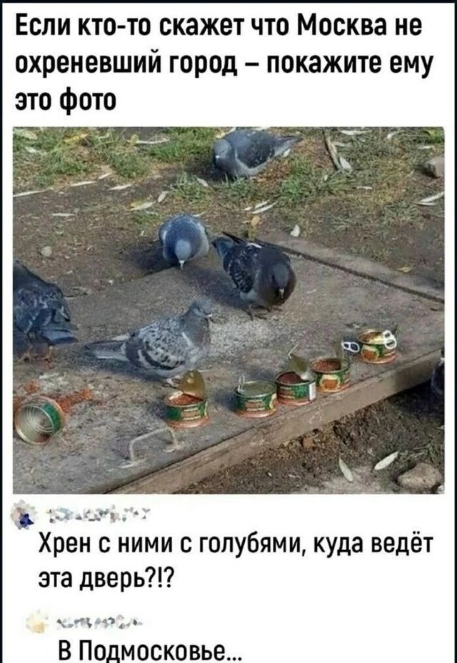 Если кто-то скажет что Москва не охреневший город – покажите ему это фото Хрен с ними с голубями, куда ведёт эта дверь?!? В Подмосковье...