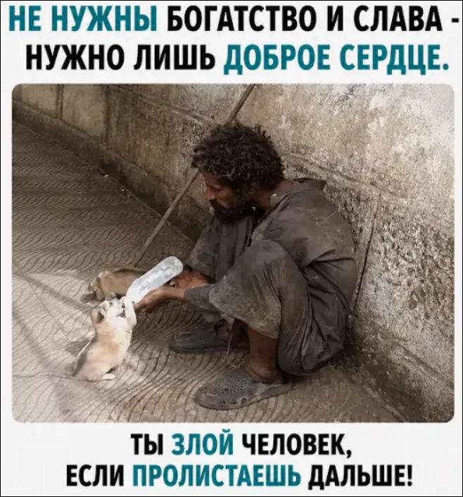 НЕ НУЖНЫ БОГАТСТВО И СЛАВА - НУЖНО ЛИШЬ ДОБРОЕ СЕРДЦЕ. ТЫ ЗЛОЙ ЧЕЛОВЕК, ЕСЛИ ПРОЛИСТАЕШЬ ДАЛЬШЕ!