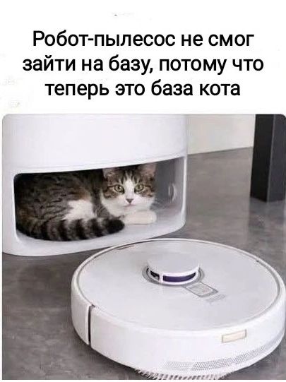 Робот-пылесос не смог зайти на базу, потому что теперь это база кота