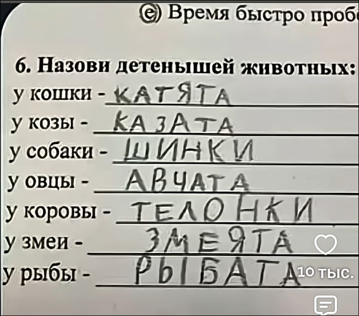 Время быстро проб... 6. Назови детенышей животных: у кошки - КАТЯТА у козы - КАЗАТА у собаки - ШИНКИ у овцы - АВЧАТА у коровы - ТЕЛОНКИ у змеи - ЗМЕЯТА у рыбы - РЫБАТА