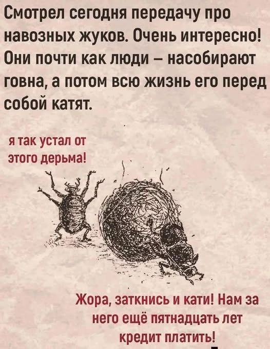 Смотрел сегодня передачу про навозных жуков. Очень интересно! Они почти как люди – насобирают говна, а потом всю жизнь его перед собой катят. Я так устал от этого дерьма! Жора, заткнись и кати! Нам за него еще пятнадцать лет кредит платить!