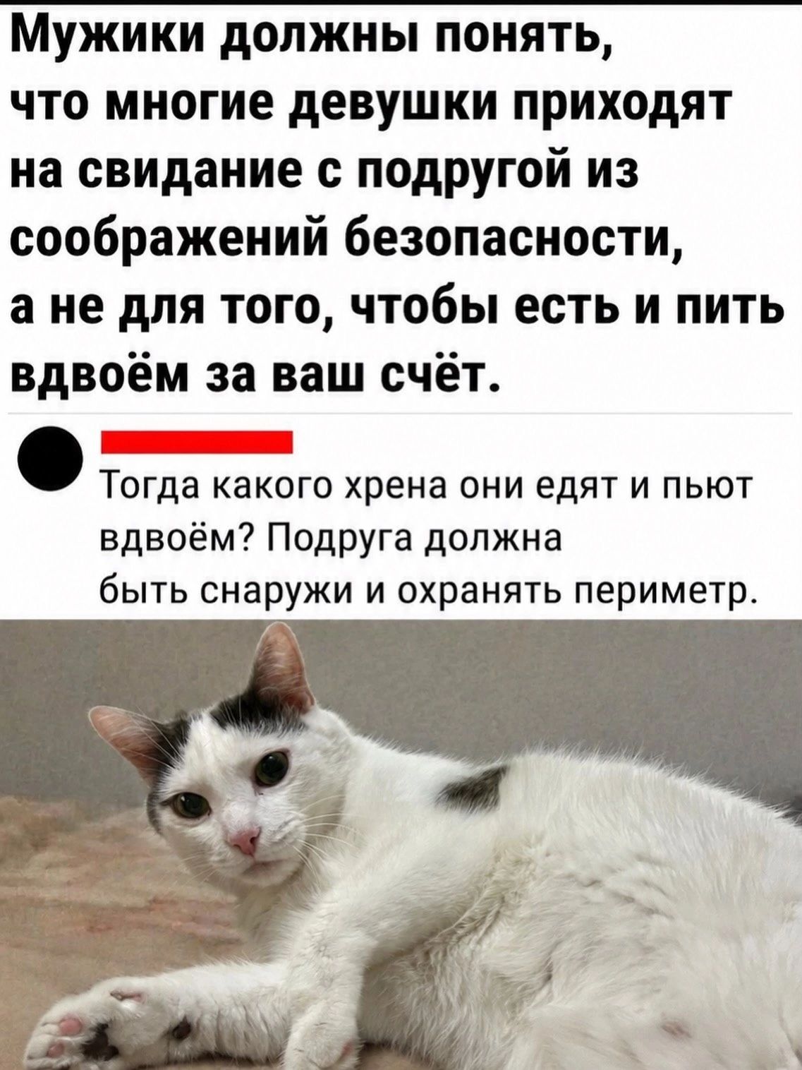 Мужики должны понять, что многие девушки приходят на свидание с подругой из соображений безопасности, а не для того, чтобы есть и пить вдвоём за ваш счёт. Тогда какого хрена они едят и пьют вдвоём? Подруга должна быть снаружи и охранять периметр.