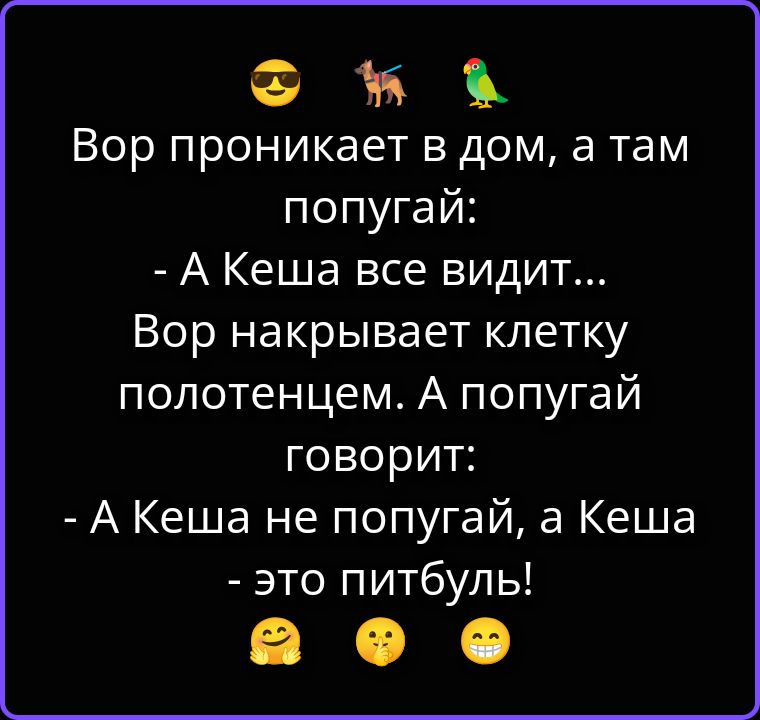 Вор проникает в дом, а там попугай:
- А Кеша все видит...
Вор накрывает клетку полотенцем. А попугай говорит:
- А Кеша не попугай, а Кеша - это питбуль!
