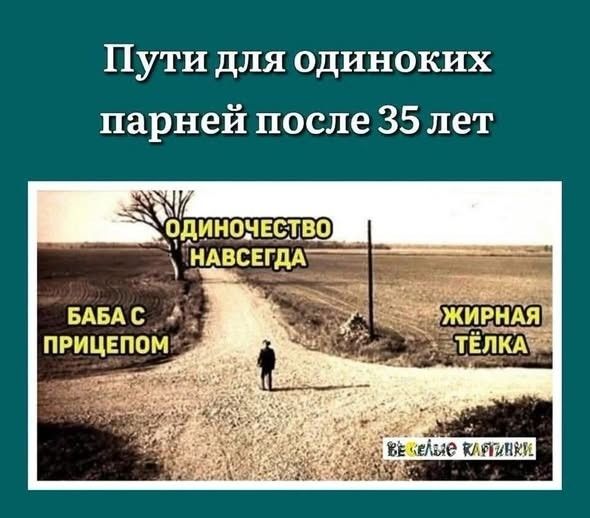 Пути для одиноких парней после 35 лет. Одиночество навсегда. Баба с прицепом. Жирная тёлка. Весёлые картинки.
