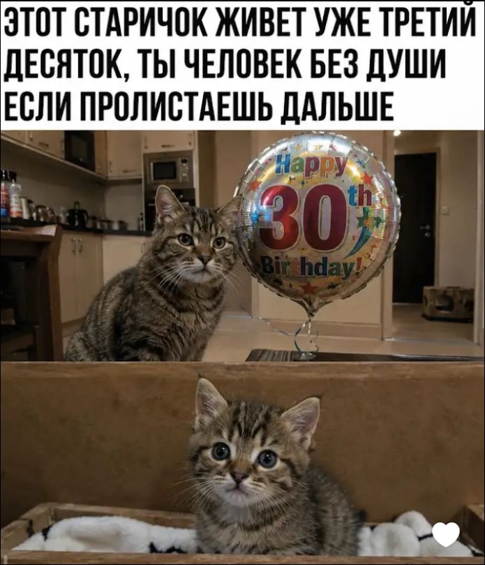 ЭТОТ СТАРИЧОК ЖИВЕТ УЖЕ ТРЕТИЙ ДЕСЯТОК, ТЫ ЧЕЛОВЕК БЕЗ ДУШИ ЕСЛИ ПРОЛИСТАЕШЬ ДАЛЬШЕ. Happy 30th Birthday!