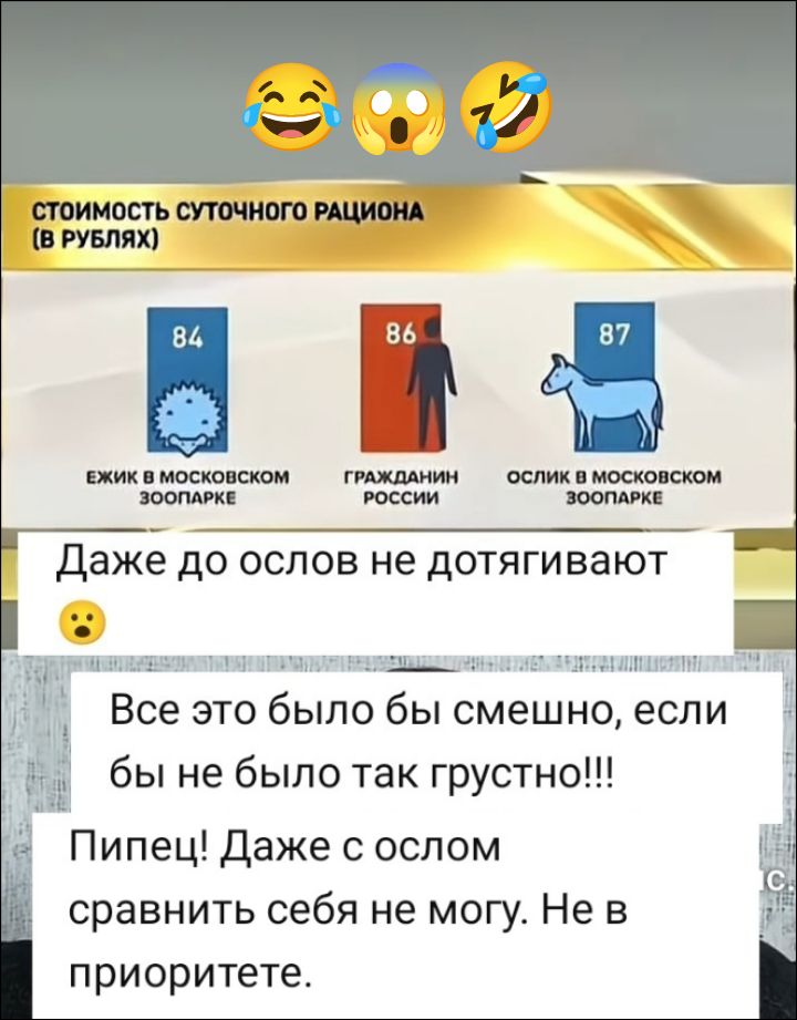 СТОИМОСТЬ СУТОЧНОГО РАЦИОНА (В РУБЛЯХ) 84 ЕЖИК В МОСКОВСКОМ ЗООПАРКЕ 86 ГРАЖДАНИН РОССИИ 87 ОСЛИК В МОСКОВСКОМ ЗООПАРКЕ. Даже до ослов не дотягивают. Все это было бы смешно, если бы не было так грустно!!! Пипец! Даже с ослом сравнить себя не могу. Не в приоритете.