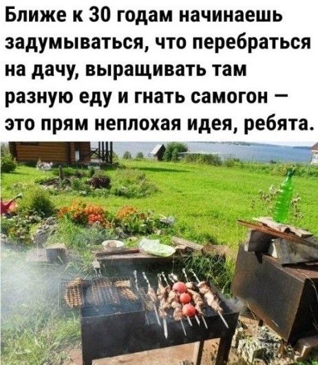 Ближе к 30 годам начинаешь задумываться, что перебраться на дачу, выращивать там разную еду и гнать самогон — это прям неплохая идея, ребята.