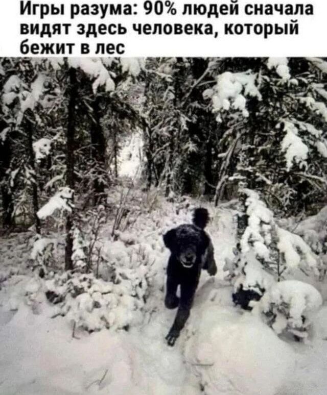 Игры разума: 90% людей сначала видят здесь человека, который бежит в лес